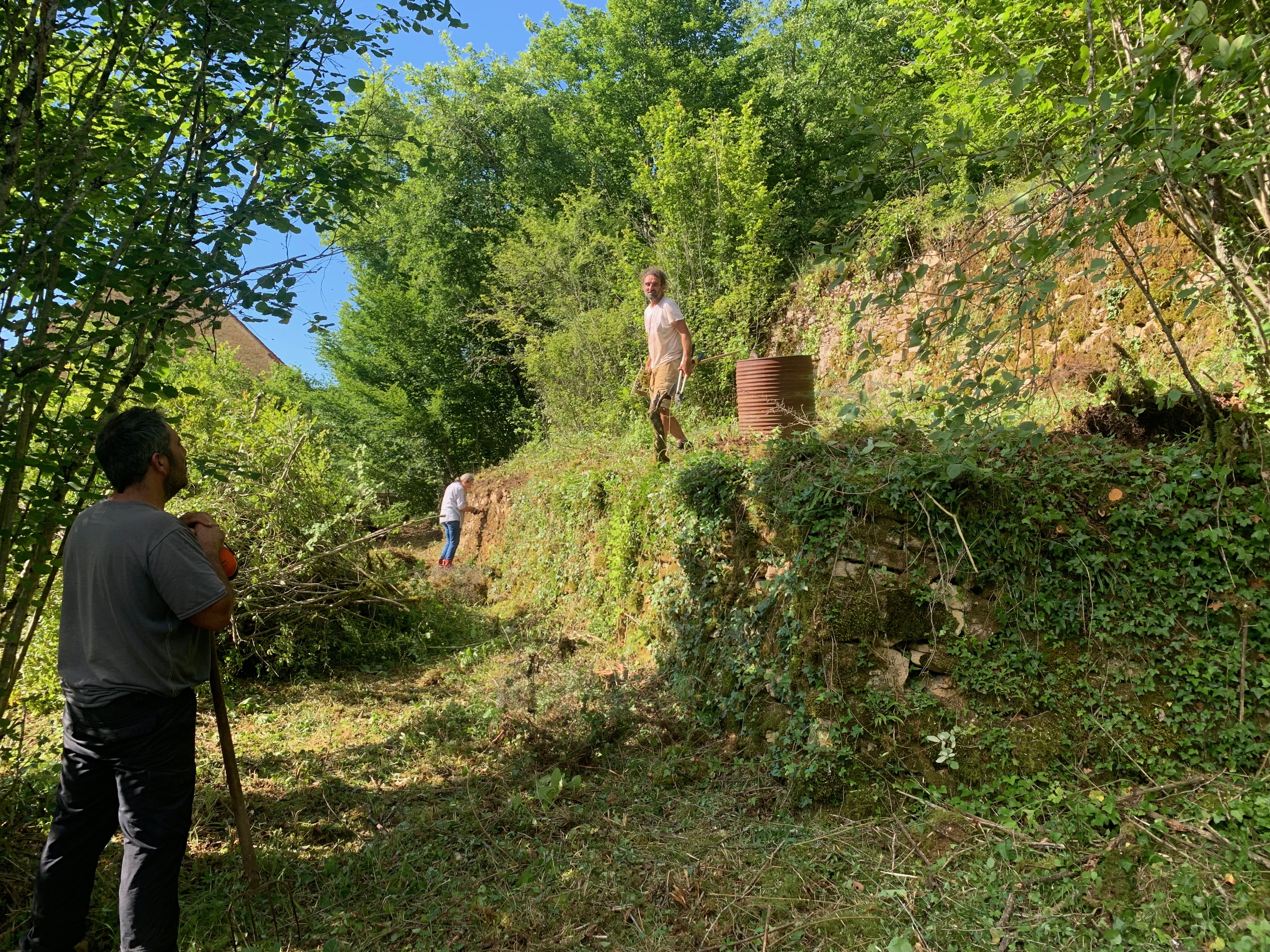 Amenagement des jardins
