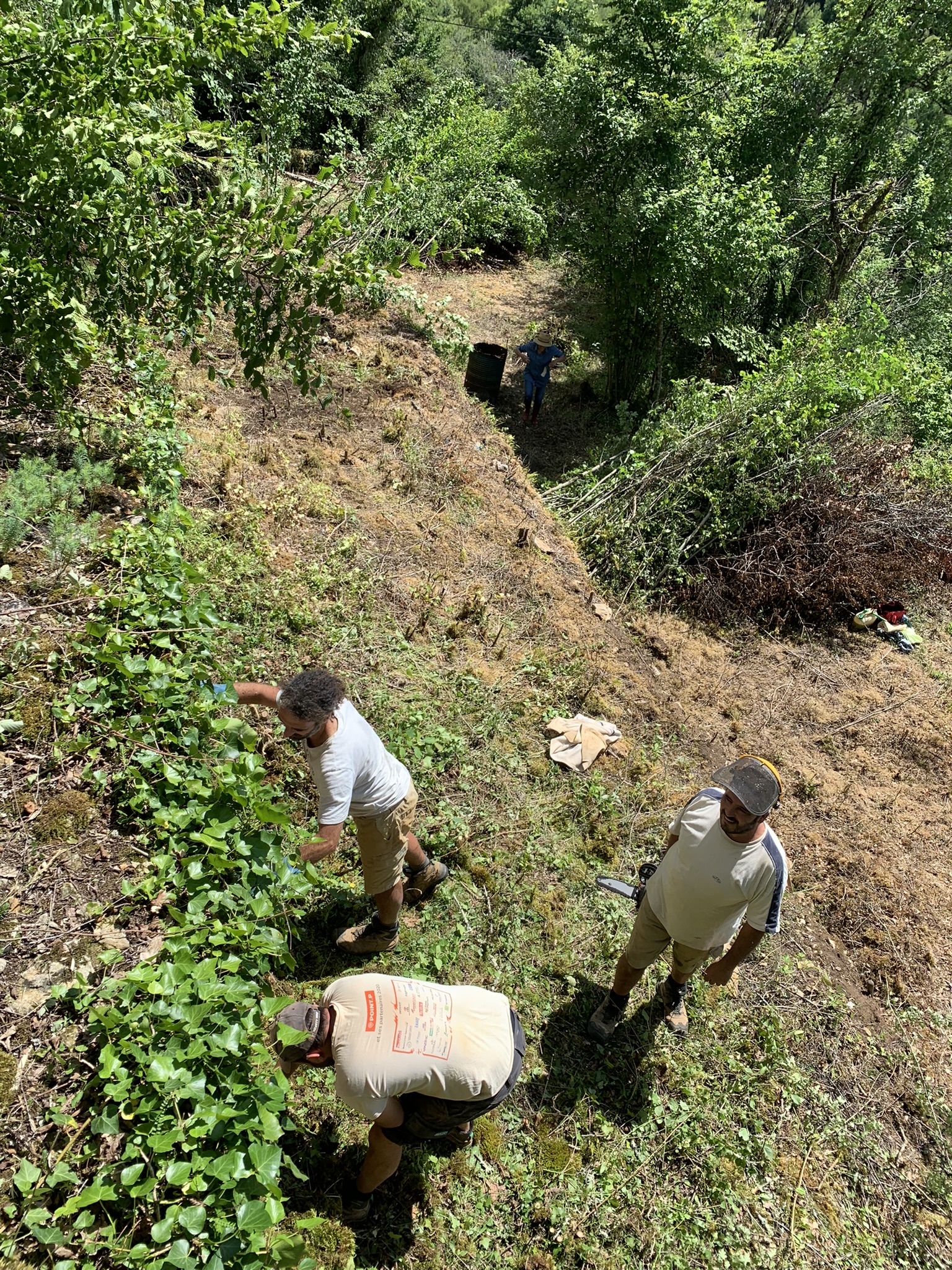 Travaux dans les jardins suspendus
